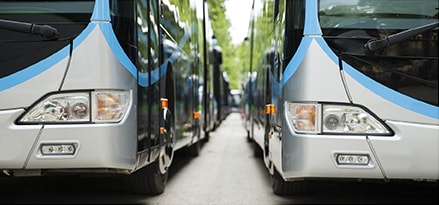 Bus fleet parked together